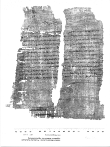 Papyrus
                    Berolinensis P 25 239